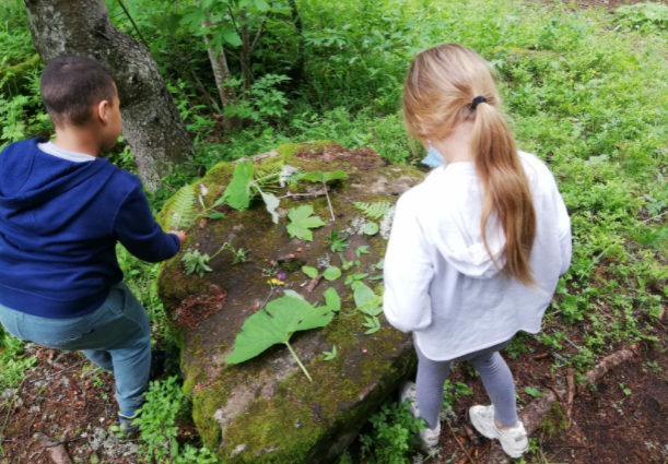 enfant nature atelier